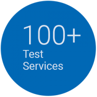100-test-services